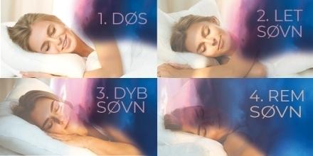 REM_søvn_faser
